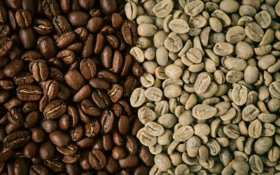 Energy Assessment, uno strumento per migliorare la Sostenibilità di Caffè Costadoro